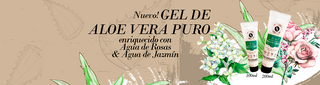 Gel de Aloe Vera: beneficios y propiedades