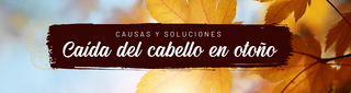 🍂Caída del Cabello en Otoño: Causas y soluciones