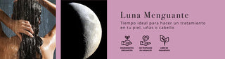 Tips de Luna Menguante